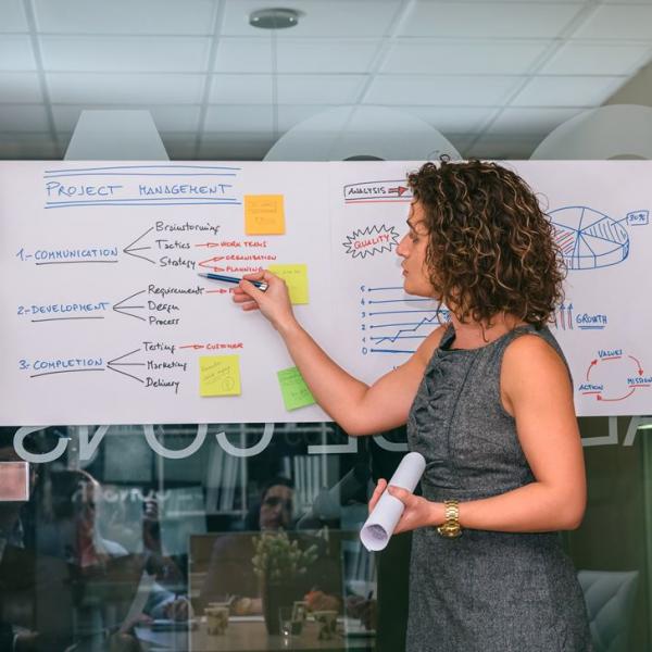 Project Management 